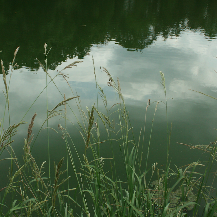 Water educators join UGA Extension